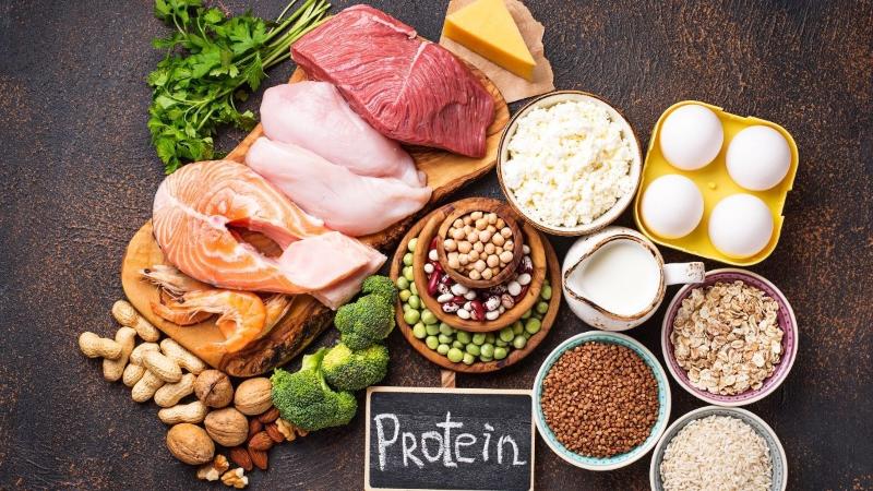 Our Top List of Foods Richest in Protein