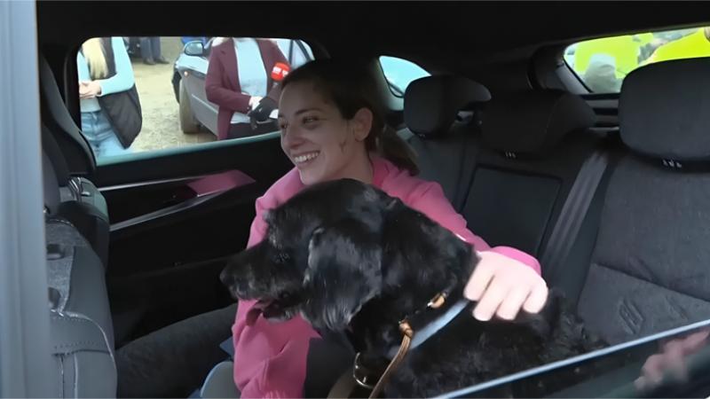 Lost and Found Dog Boro Reunited With Owner After Deadly Train Crash in Spain