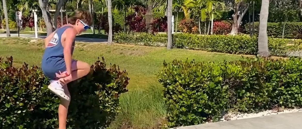 Lizard Surprised Onlookers With Its Move, They Didn’t Know Tails Could Be This Dangerous