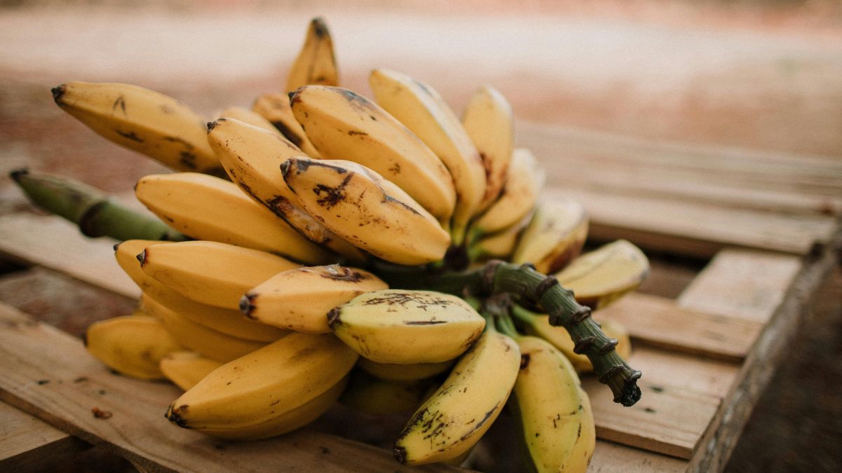What Bananas Do You Pick at the Store? Discover Which Ones Are Truly the Best and Prepare to Be Surprised