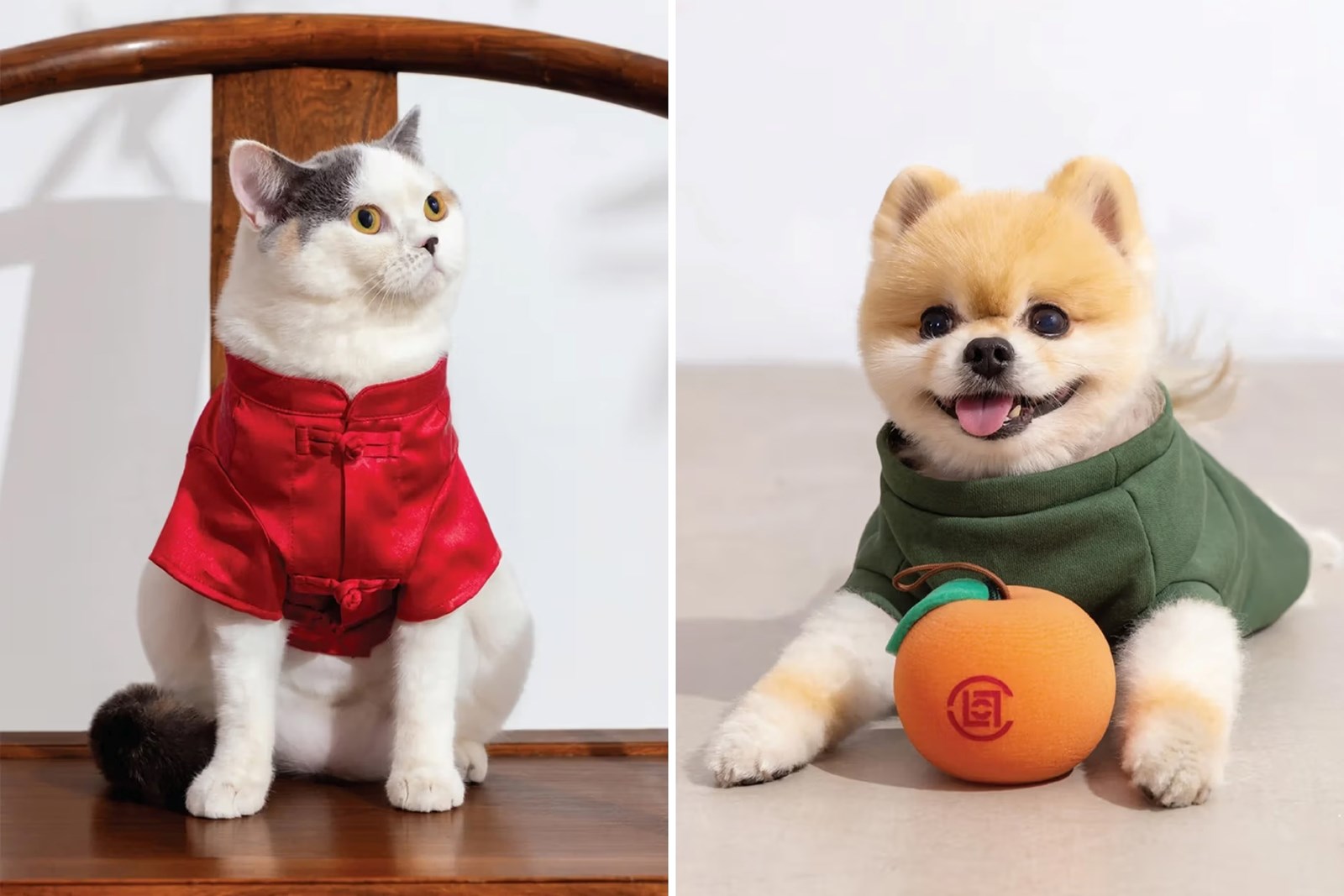 Probably the Sweetest Collection for Dogs and Cats You’ll See Today