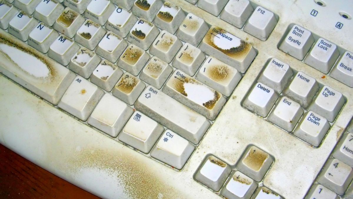 40 Household Items You Are Forgetting to Clean That Are Full of Bacteria