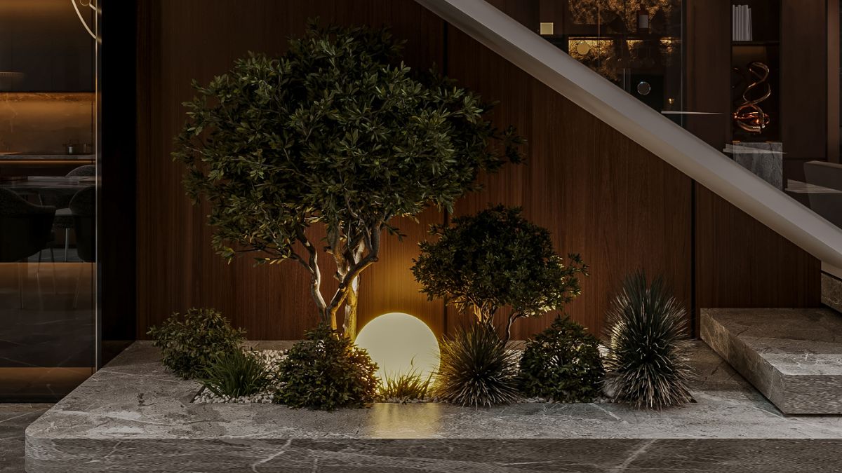 20 Plants That Survive in Low Light