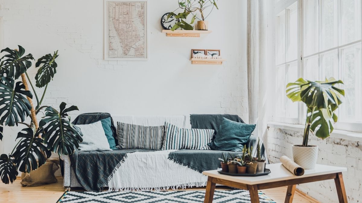 42 Plants That Purify the Air in Your Home