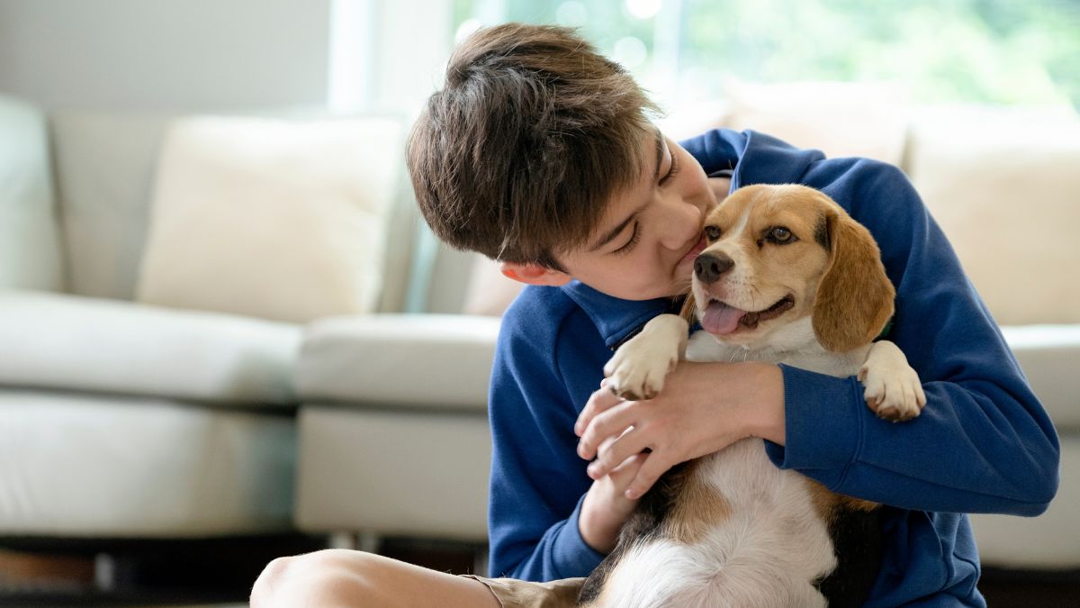 Family-Friendly Dog Breeds Perfect for Households with Kids