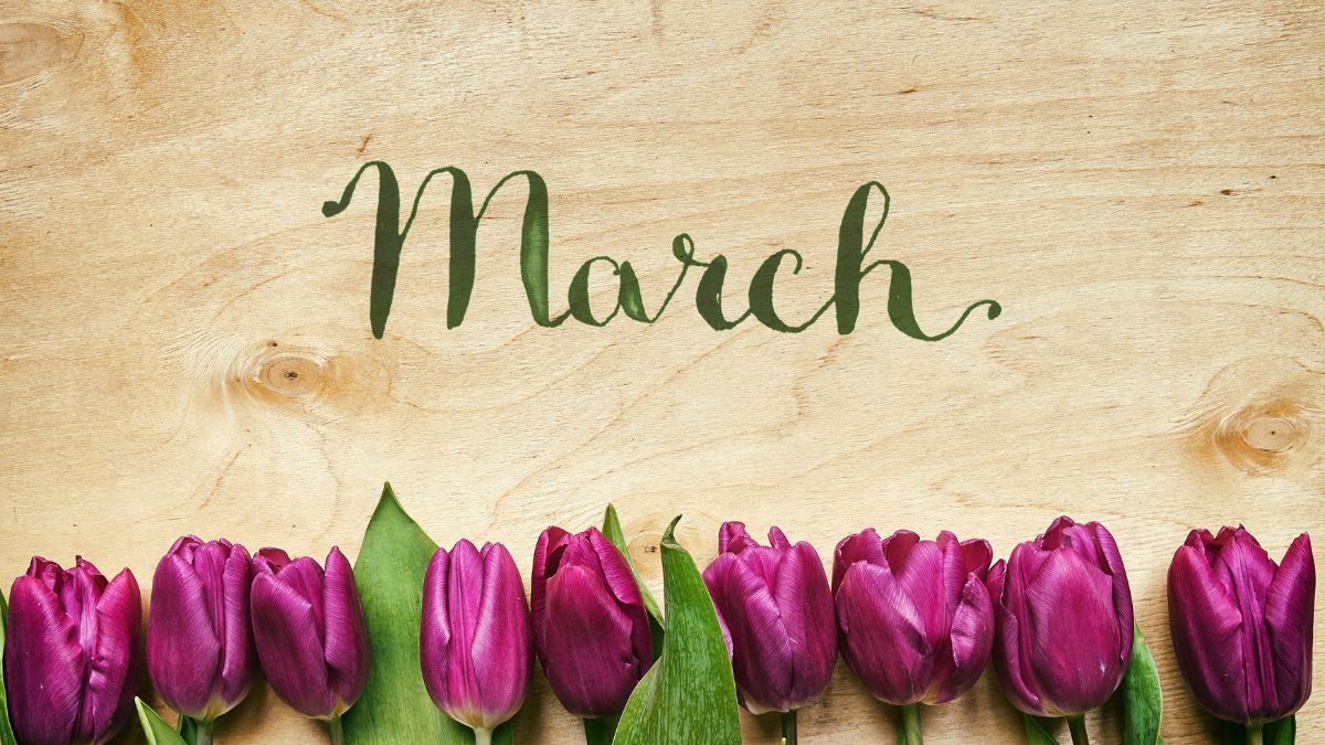 Cancer Horoscope for March 2026: Your Monthly Stars Revealed