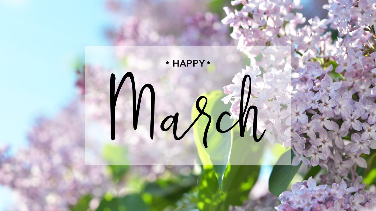 Scorpio Horoscope For March 2026: Your Monthly Stars Revealed