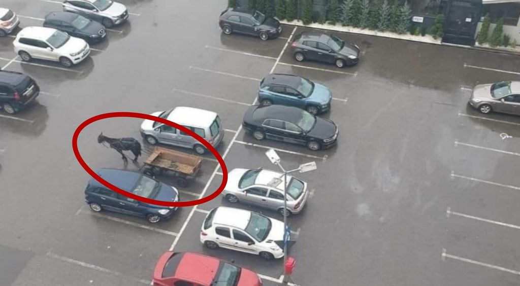 Parking Lot Scene Makes Social Media Laugh, Can You See What Stands Out From the Rest?