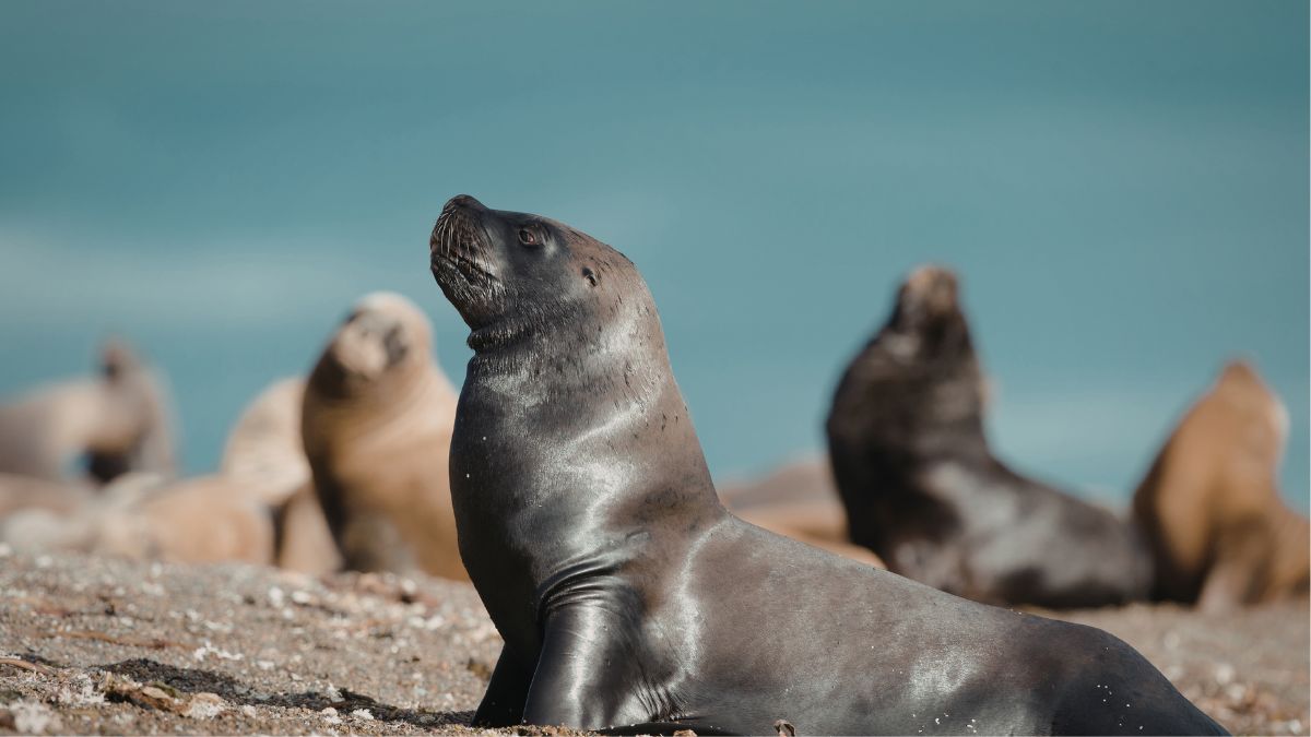 A Danish Traveler Who Visited Over 400 Islands Revealed the One That “Left Him Completely Speechless”