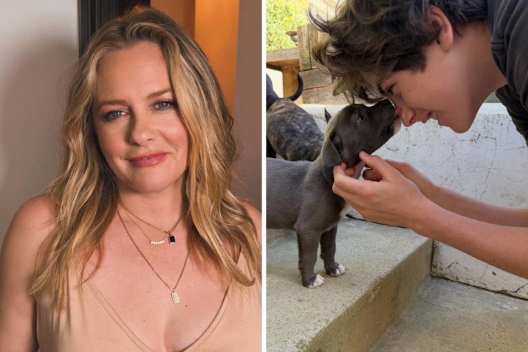 Alicia Silverstone Helps Save Pregnant Dog and Her Puppies from Euthanasia