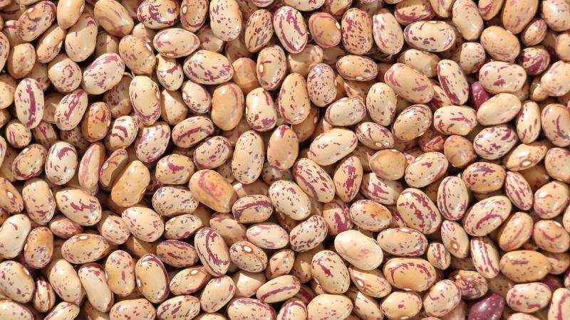 Why Nutritionists Are Calling 2026 the Year of Beans