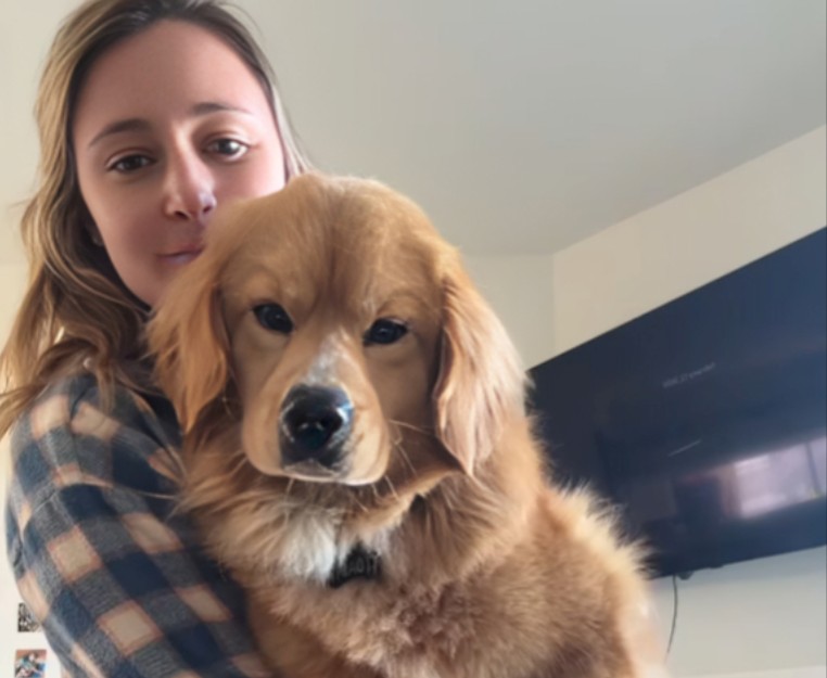 An Adopted Golden Retriever-Corgi Mix Has Taken the Internet by Storm