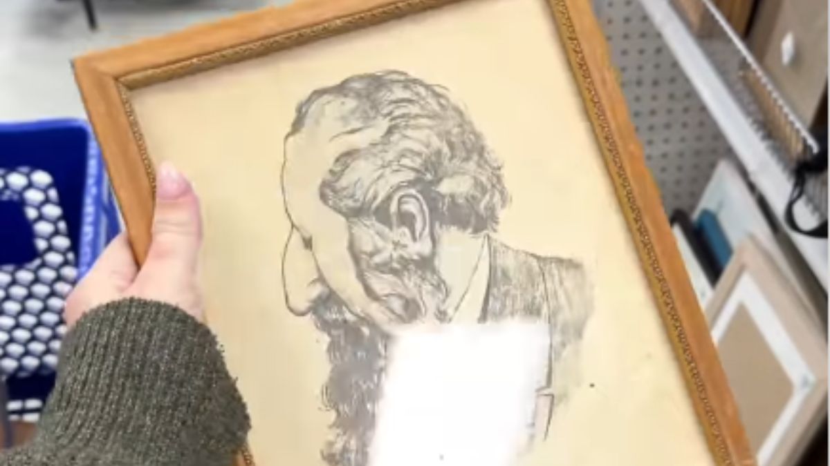 Woman Buys a Thrift Store Painting and Discovers a Hidden Adult Detail: “That Is Not Something I Want in My Home”