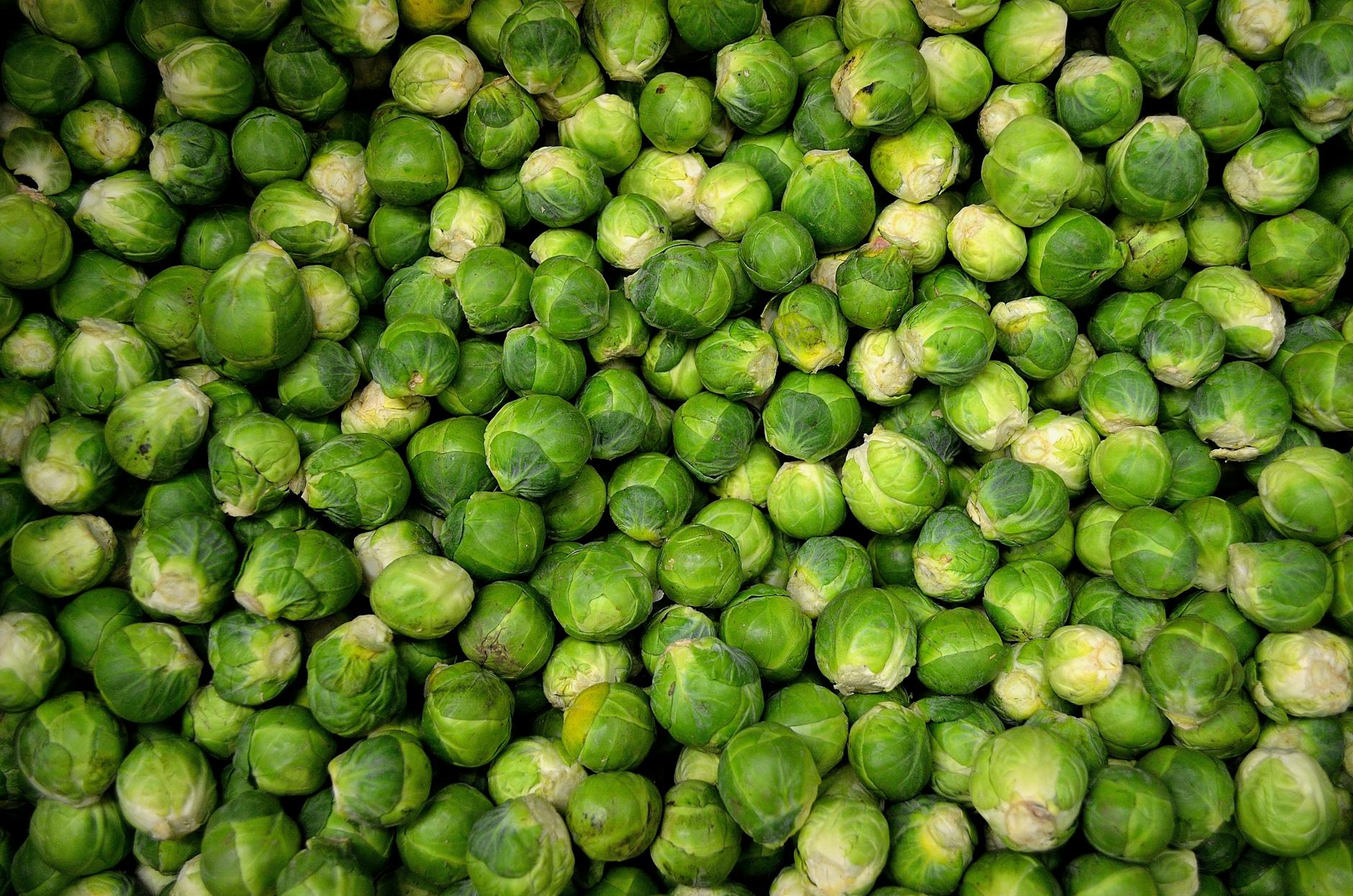 Brussels Sprouts Nutrition Brain Health Antioxidants