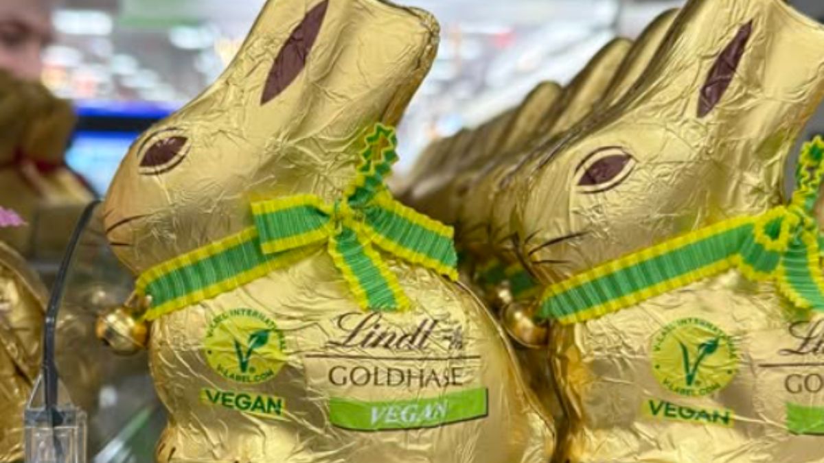 Germans in Shock Over Price of Popular Chocolate Bunny: “Are You Normal?!”