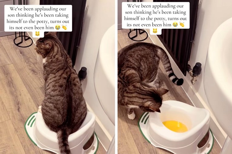 Parents Thought Their Toddler Was Using the Potty Until They Discovered the True “Culprit”