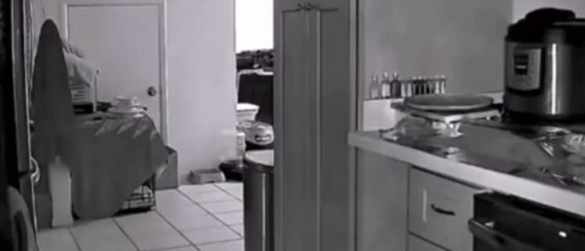 Night Camera Captures Kitchen Chaos and Amuses the Owners