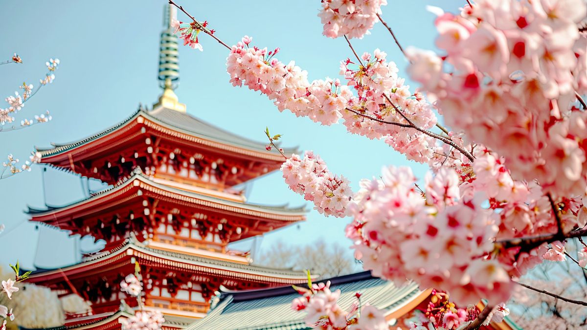 Japanese City Cancels Its Cherry Blossom Festival Because of Rude Tourists: “They Enter Homes and Use the Bathroom”