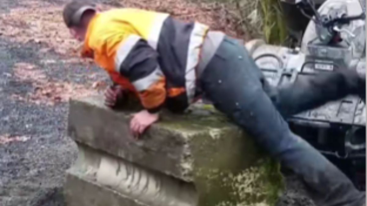 They Realized They Had Barely Escaped With Their Lives When They Heard the Shouts: “I Managed to Record It!”