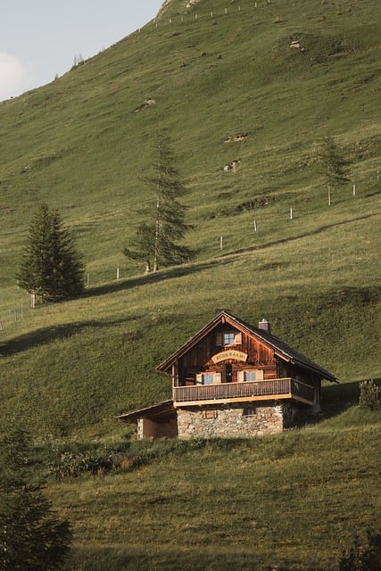Alpine Chalet Tiny House Design