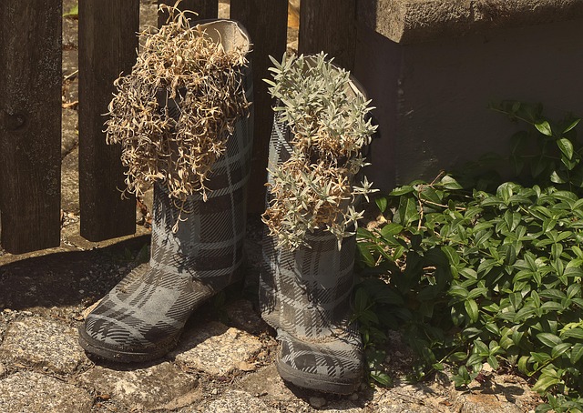 Rubber Boot Planters Garden Flowers DIY