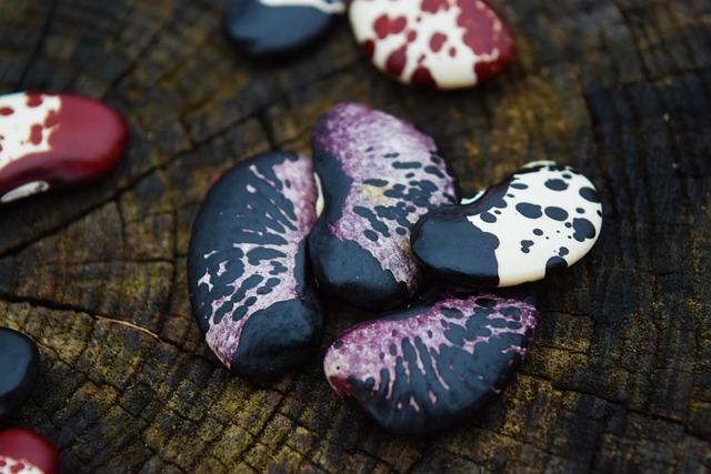 Lima Beans Dietary Triggers Migraine Sufferers