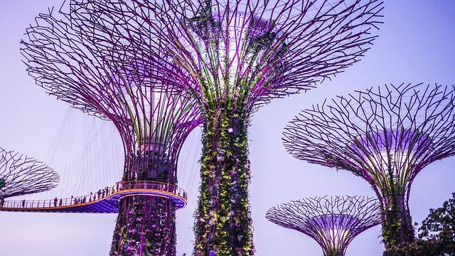 Gardens By The Bay Supertrees Singapore