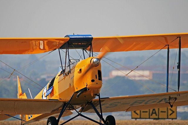 Wing Walking Biplane Adventure UK