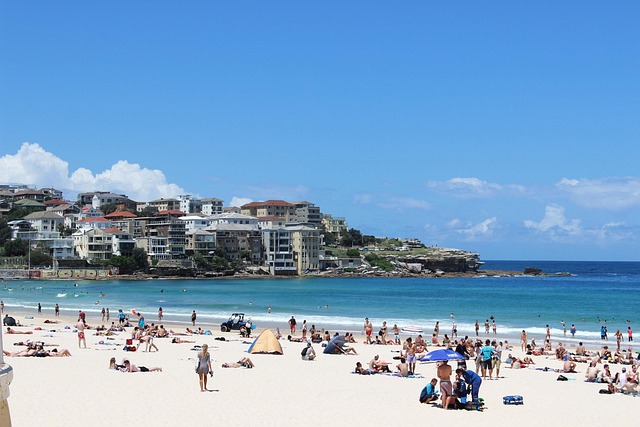 Bondi Beach Tourist Crowd