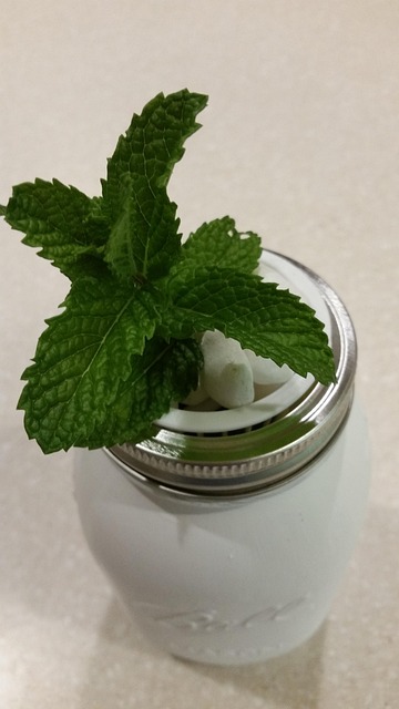 Mason Jar Herb Garden DIY