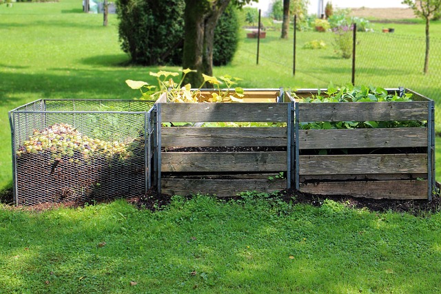 Compost Bin Placement
