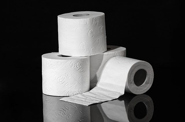 Toilet Paper Mega Rolls Shrinkflation
