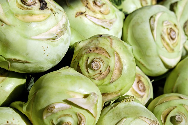 Kohlrabi Food