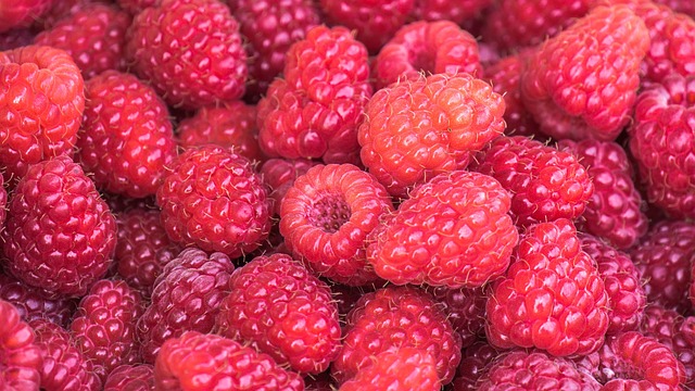 Raspberries Antioxidants Inflammation Dietary Fiber Vitamin C