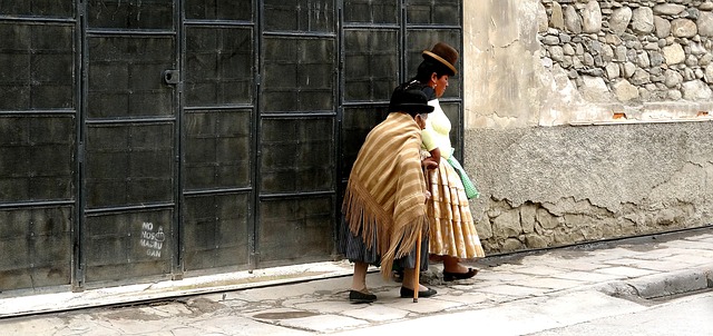 La Paz Bolivia Travel Cable Car Witches Market Street Food