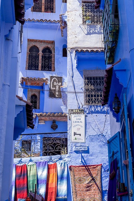 Chefchaouen Blue Streets Medina Potted Plants Cats