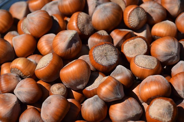 Nuts And Seeds Migraine Triggers