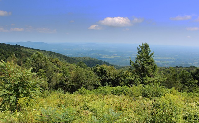 Shenandoah National Park Skyline Drive Autumn Colors Waterfalls