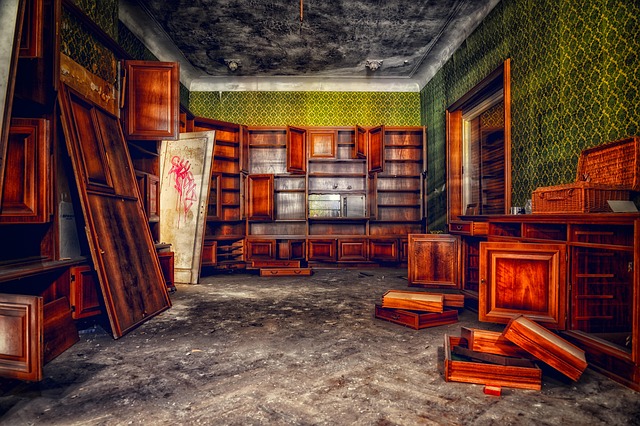 Messy Living Space Chaotic Environment Gemini