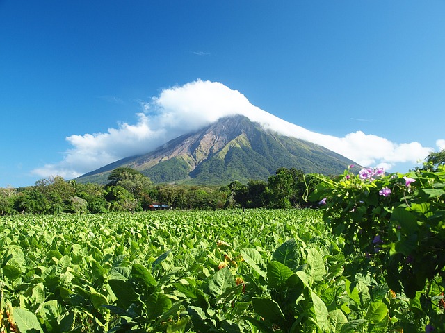 Nicaragua Volcano Boarding Cerro Negro Adventure