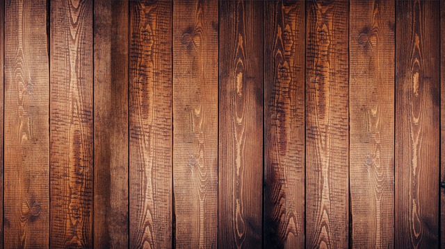 Dark Wood Paneling Interior Design