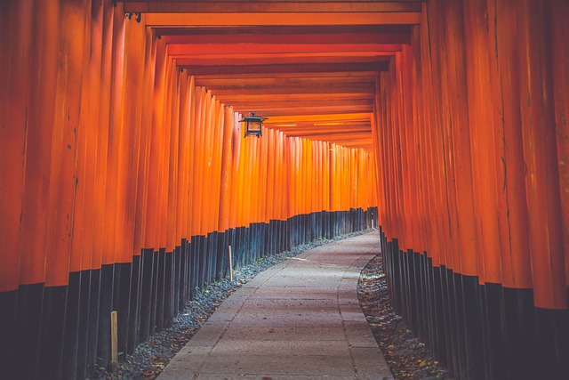 Fushimi Inari Shrine Torii Gates Kyoto