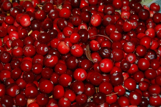 Cranberry Fruit