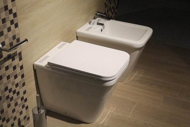 Modern Bidet Toilets Integrated Features