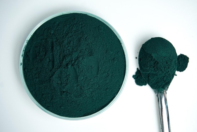 Spirulina Food