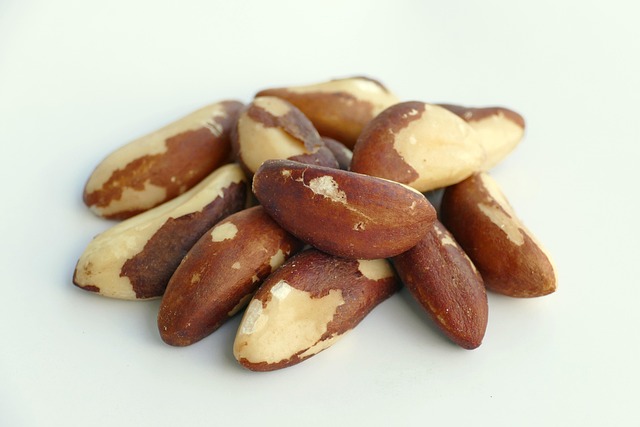 Brazil Nuts Selenium Immune Health