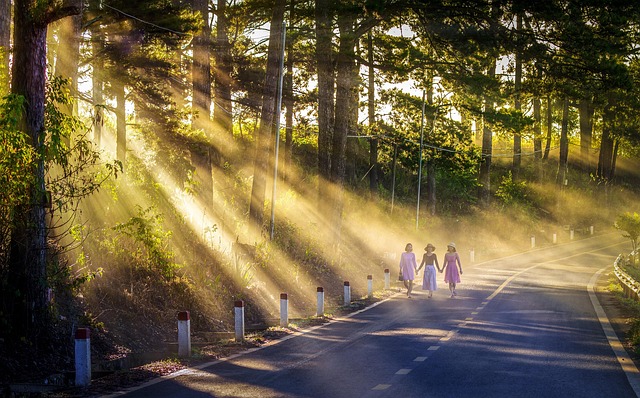 Women Enjoying Morning Sunlight Outdoors