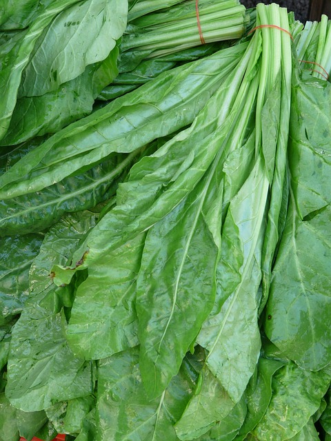 Spinach Health Benefits Inflammation