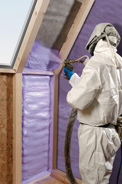 Attic Insulation Home Improvement Energy Efficiency