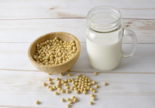 Soy Milk Carrageenan Inflammation